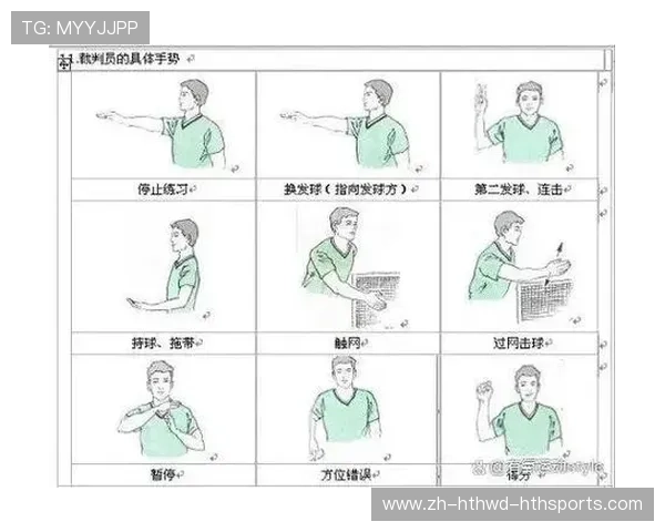 羽毛球比赛中的判罚手势解析及其背后的规则意义